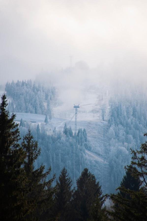 Silver Mountain B12 โปยานาบราซอฟ ภายนอก รูปภาพ
